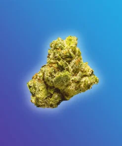 Blue Cherry Gelato - THCa Flower Smalls - Hybrid