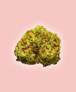 Bubblegum Horchata - THCa Flower Smalls - Indica