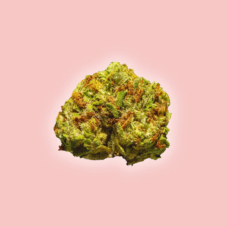 Bubblegum Horchata - THCa Flower Smalls - Indica Bubblegum Horchata - THCa Flower Smalls - Indica