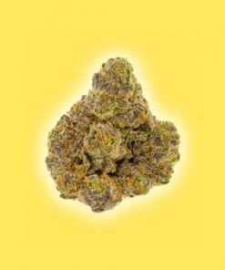 Lemon Cherry Gelato - THCa Flower - Hybrid