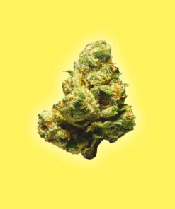 Lemon Cherry Gelato - THCa Flower Smalls - Hybrid