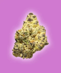 Lilac Diesel - THCa Flower - Sativa