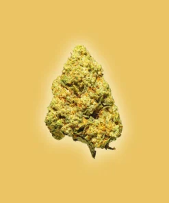 Pure Kush - THCa Flower - Indica