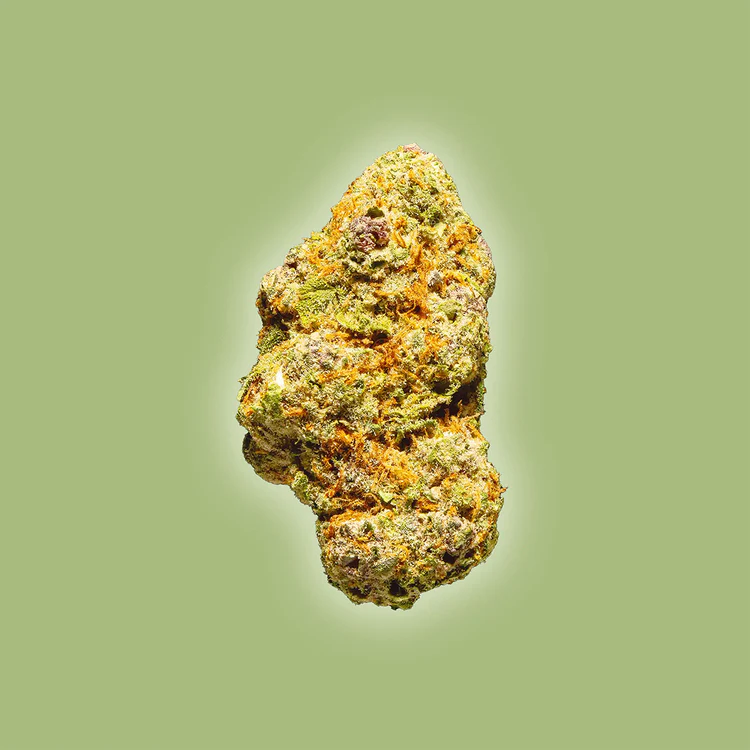 Sundae Driver - THCa Flower - Sativa Sundae Driver - THCa Flower - Sativa